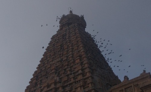 Brihadishvara Temple, also called Rajarajesvaram or Peruvudaiyār Kōvil, is a Hindu temple dedicated to Shiva located in South bank of Kaveri river in Thanjavur, Tamil Nadu, India. It is one of the largest South Indian temples and an exemplary example of a fully realized Dravidian architecture. It is called as Dhakshina Meru (Meru of south). Built by Tamil king Raja Raja Chola I between 1003 and 1010 AD, the temple is a part of the UNESCO World Heritage Site known as the "Great Living Chola Temples", along with the Chola dynasty era Gangaikonda Cholapuram temple and Airavatesvara temple that are about 70 kilometres (43 mi) and 40 kilometres (25 mi) to its northeast respectively.