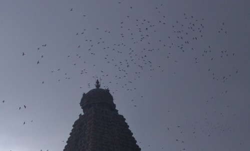 Brihadishvara Temple, also called Rajarajesvaram or Peruvudaiyār Kōvil, is a Hindu temple dedicated to Shiva located in South bank of Kaveri river in Thanjavur, Tamil Nadu, India. It is one of the largest South Indian temples and an exemplary example of a fully realized Dravidian architecture. It is called as Dhakshina Meru (Meru of south). Built by Tamil king Raja Raja Chola I between 1003 and 1010 AD, the temple is a part of the UNESCO World Heritage Site known as the "Great Living Chola Temples", along with the Chola dynasty era Gangaikonda Cholapuram temple and Airavatesvara temple that are about 70 kilometres (43 mi) and 40 kilometres (25 mi) to its northeast respectively.