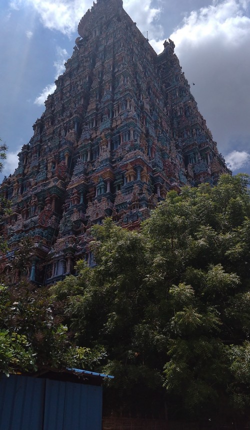 Situated on the southern bank of river Vaigai, Madurai --- the Athens of the East, as mentioned by Megasthenis (350-290 BC), also by Chanakya --- is famous for this Meenakshi Sundareswara Temple, also known as Thuruaalavai.
Madurai was the capital city to the ‘Panydon dynasty, succeeded by the Kalabhras dynasty (250-590 AD), followed or ousted by the ‘Pandyas’ in early 590 AD, who were further ousted by Aditya Chola-I (r. 871-907 AD), son of Vijayalaya Chola.
The original or ancient Temple was destroyed by Islamic iconoclast invader, ‘Malik Kafur’, sacked and plundered the ancient or olden Meenakshi temple in December 1310 AD. . .
The present Meenakshi temple was ‘rebuilt’ by the 1st Nayaka king (of Madurai), Viswanatha Nayak (r. 1529-64 AD), who, under supervision of his chief advisor or prime minister, Ariyantha Mudaliar, started construction of this temple in 1560 AD, and it was completed by his son Kumar Krishnappa Nayak (1564-73 AD).
This temple complex was further expanded by Thirumalai Nayak (r. 1623-59 AD), succeeding Muttu Virappa Nayak in 1623 AD. And it was further expanded by Thurumalai Nayaka.
As described by Mr Krishna Mohan