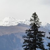 2019-11-02-Manali-18