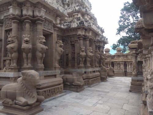 The Kanchi Kailasanathar temple is the oldest structure in Kanchipuram. Located in Tamil Nadu, India, it is a Hindu temple in the Tamil architectural style. It is dedicated to the Lord Shiva, and is known for its historical importance. The temple was built from 685-705 AD by a Rajasimha (Narasimhavarman II) ruler of the Pallava Dynasty. The low-slung sandstone compound contains a large number of carvings, including many half-animal deities which were popular during the early Pallava architectural period.The structure contains 58 small shrines which are dedicated to various forms of Shiva. These are built into niches on the inner face of the high compound wall of the circumambulatory passage. The temple is one of the most prominent tourist attractions of the city