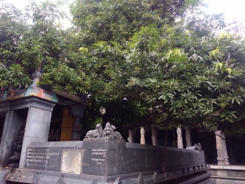 Ekambareswarar Temple ... Kanchipuram Tamil nadu