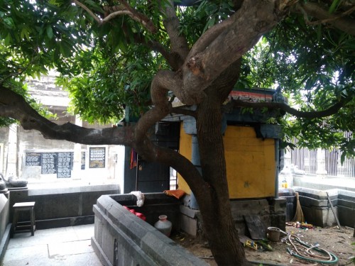 Ekambareswarar Temple ... Kanchipuram Tamil nadu