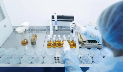 Best-Nutraceutical-Manufacturers-in-Ahmedabad-for-Private-Label-Supplements.jpg